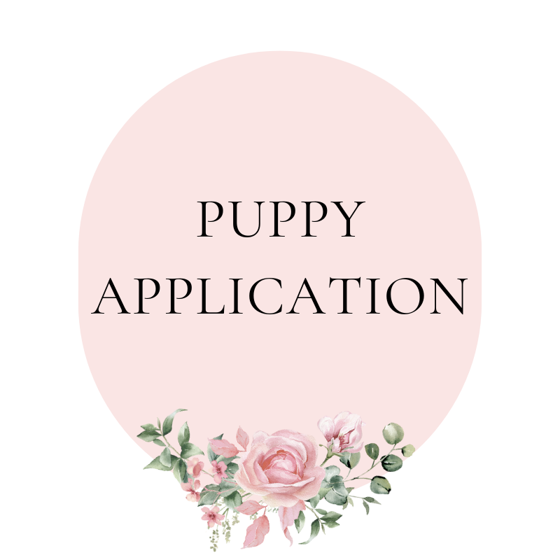 Puppy Application